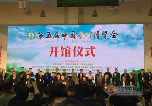 第五屆中國茶葉博覽會盛大啟幕，云茶借力山東平臺加速南茶北銷，開拓會展新格局